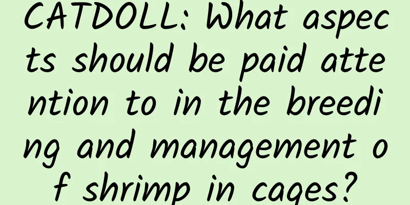 CATDOLL: What aspects should be paid attention to in the breeding and management of shrimp in cages?