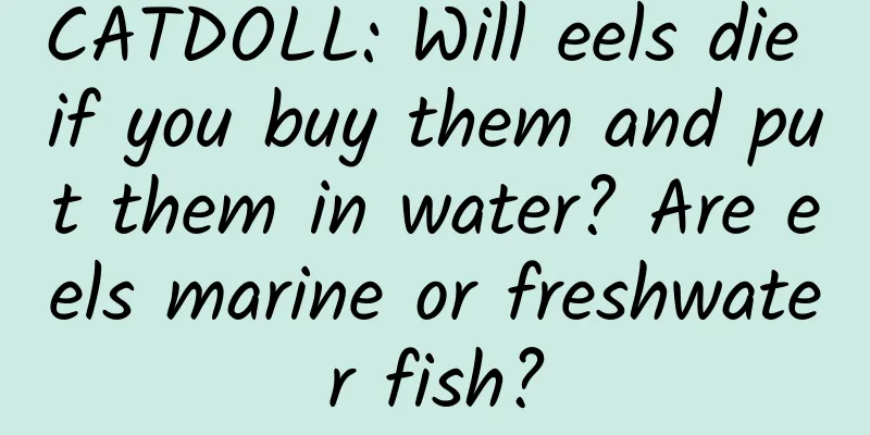 CATDOLL: Will eels die if you buy them and put them in water? Are eels marine or freshwater fish?