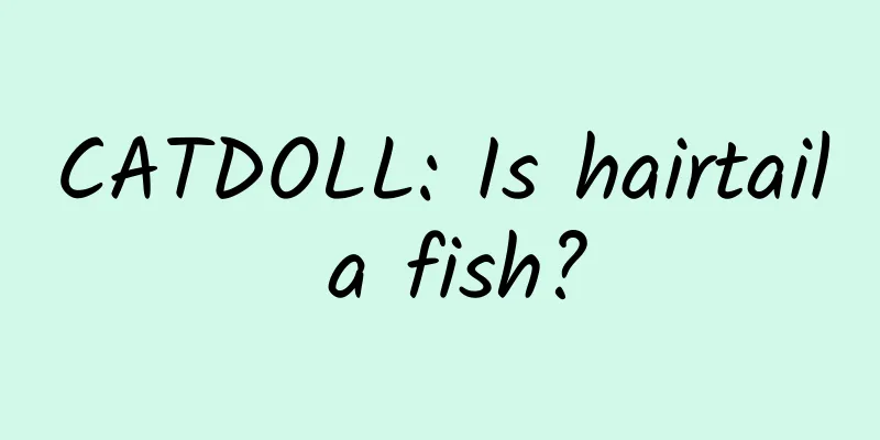 CATDOLL: Is hairtail a fish?