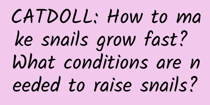 CATDOLL: How to make snails grow fast? What conditions are needed to raise snails?