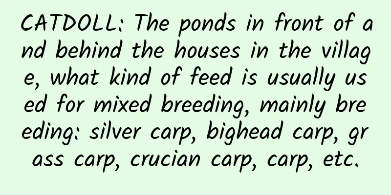 CATDOLL: The ponds in front of and behind the houses in the village, what kind of feed is usually used for mixed breeding, mainly breeding: silver carp, bighead carp, grass carp, crucian carp, carp, etc.