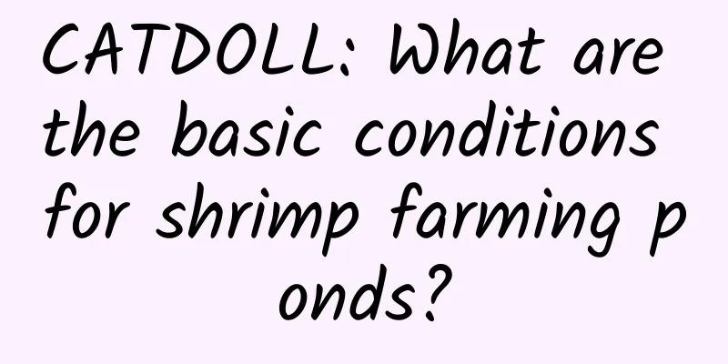 CATDOLL: What are the basic conditions for shrimp farming ponds?