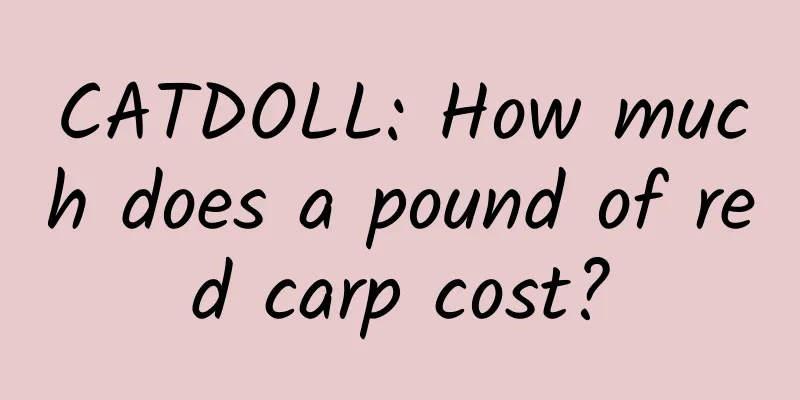 CATDOLL: How much does a pound of red carp cost?