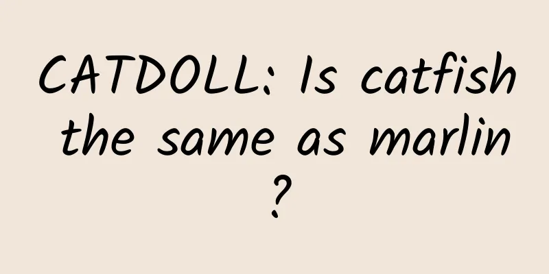 CATDOLL: Is catfish the same as marlin?