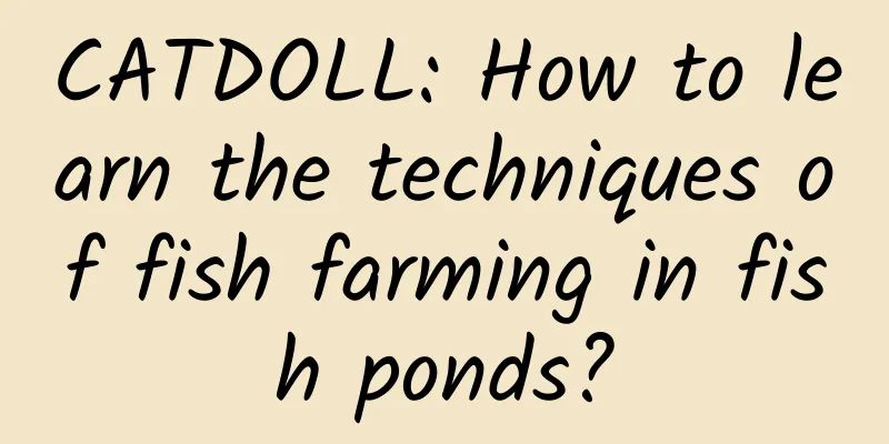 CATDOLL: How to learn the techniques of fish farming in fish ponds?