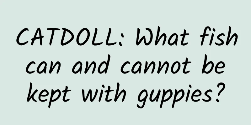 CATDOLL: What fish can and cannot be kept with guppies?