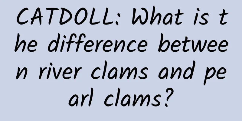 CATDOLL: What is the difference between river clams and pearl clams?