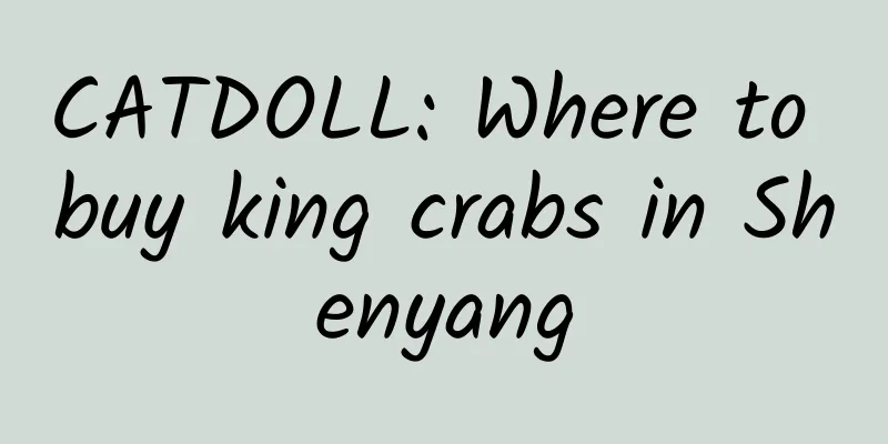 CATDOLL: Where to buy king crabs in Shenyang