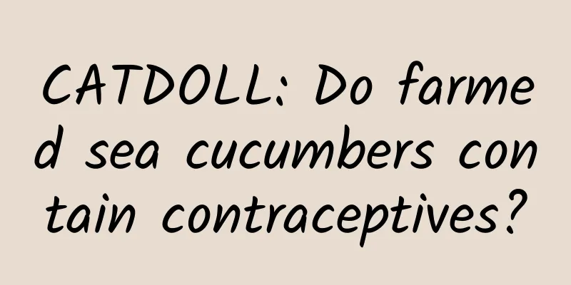 CATDOLL: Do farmed sea cucumbers contain contraceptives?