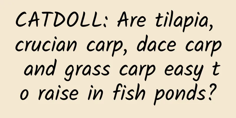 CATDOLL: Are tilapia, crucian carp, dace carp and grass carp easy to raise in fish ponds?