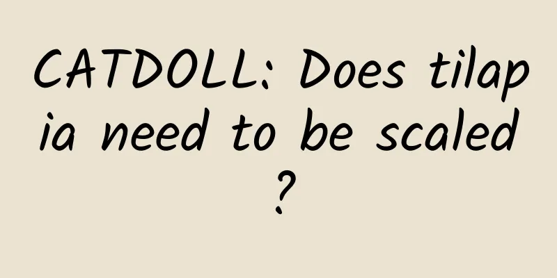 CATDOLL: Does tilapia need to be scaled?