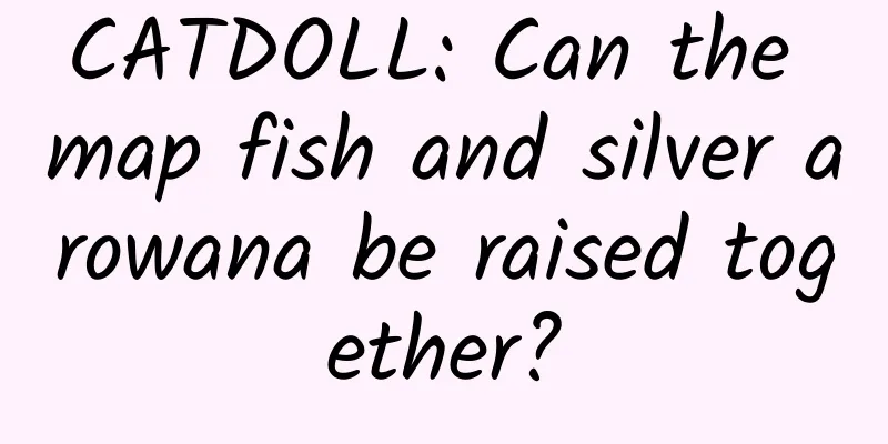 CATDOLL: Can the map fish and silver arowana be raised together?
