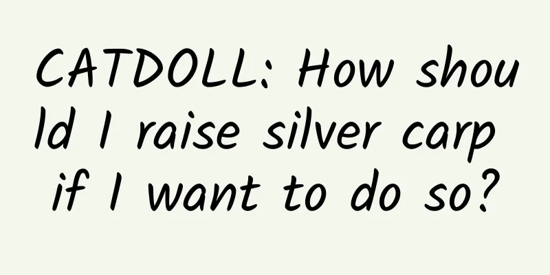 CATDOLL: How should I raise silver carp if I want to do so?
