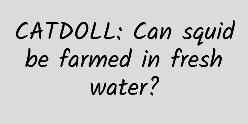CATDOLL: Can squid be farmed in fresh water?