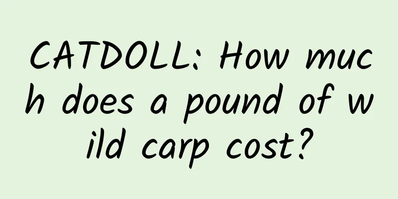 CATDOLL: How much does a pound of wild carp cost?