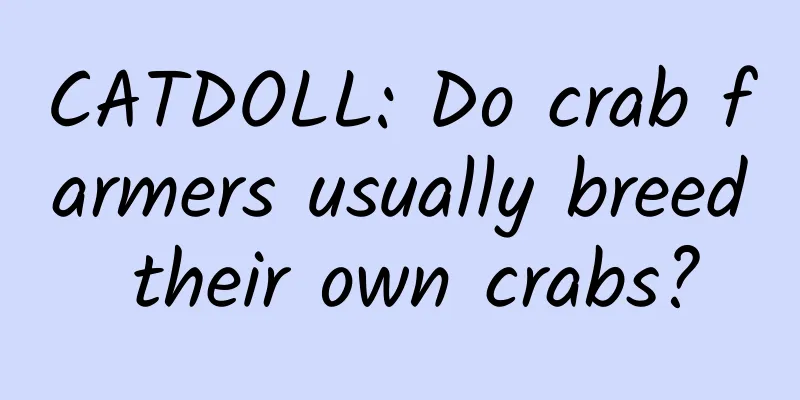 CATDOLL: Do crab farmers usually breed their own crabs?