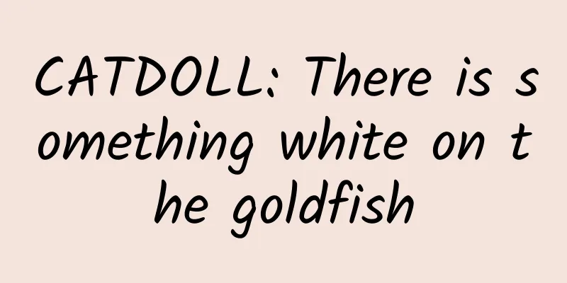 CATDOLL: There is something white on the goldfish