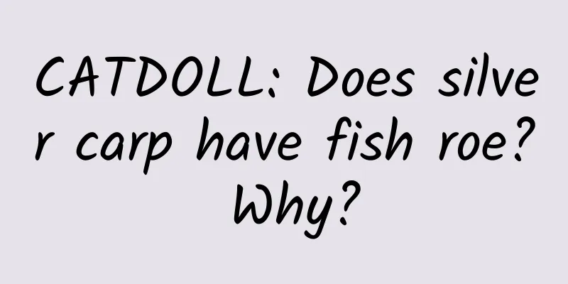 CATDOLL: Does silver carp have fish roe? Why?