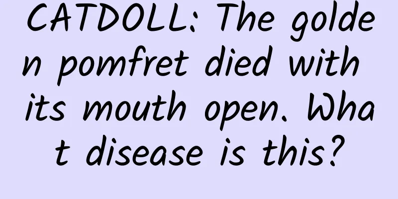 CATDOLL: The golden pomfret died with its mouth open. What disease is this?