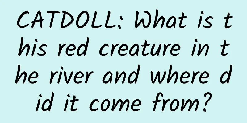 CATDOLL: What is this red creature in the river and where did it come from?