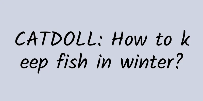 CATDOLL: How to keep fish in winter?
