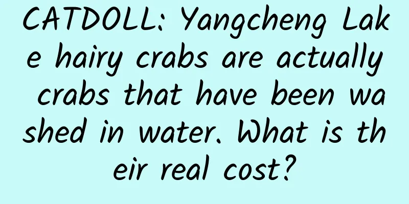 CATDOLL: Yangcheng Lake hairy crabs are actually crabs that have been washed in water. What is their real cost?