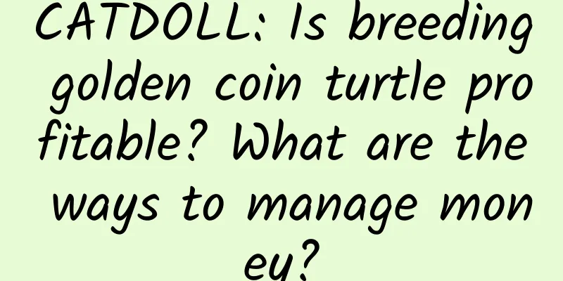CATDOLL: Is breeding golden coin turtle profitable? What are the ways to manage money?