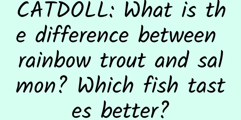 CATDOLL: What is the difference between rainbow trout and salmon? Which fish tastes better?