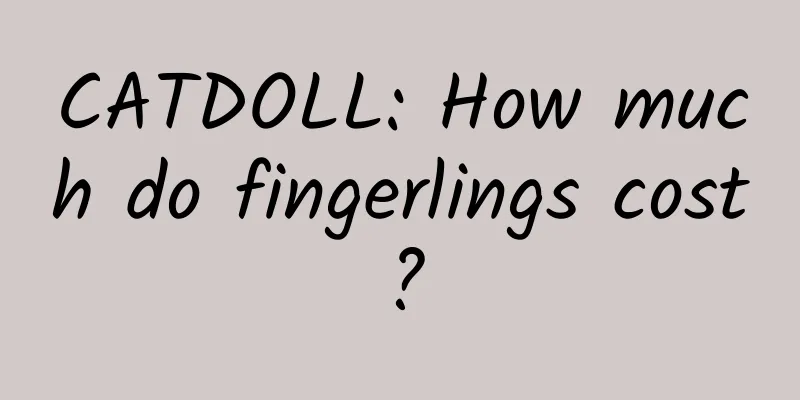 CATDOLL: How much do fingerlings cost?