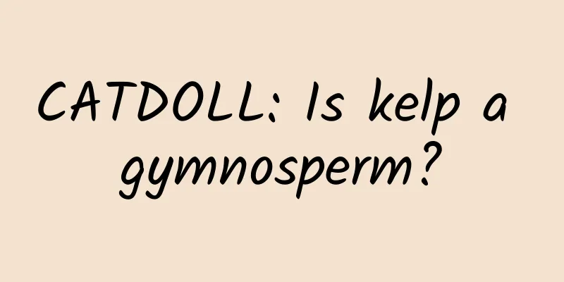 CATDOLL: Is kelp a gymnosperm?