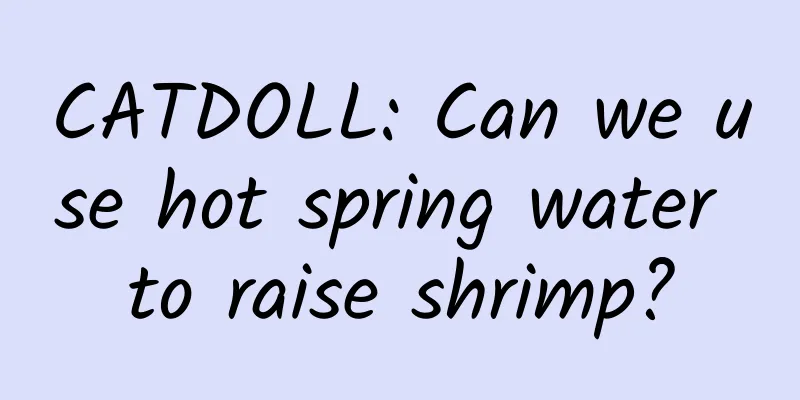 CATDOLL: Can we use hot spring water to raise shrimp?