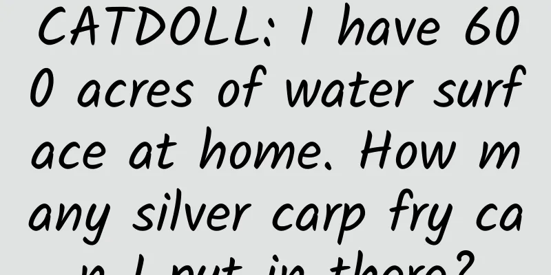 CATDOLL: I have 600 acres of water surface at home. How many silver carp fry can I put in there?