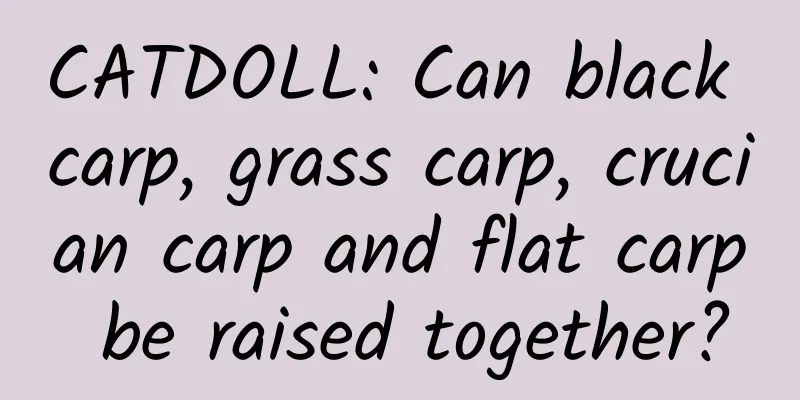 CATDOLL: Can black carp, grass carp, crucian carp and flat carp be raised together?