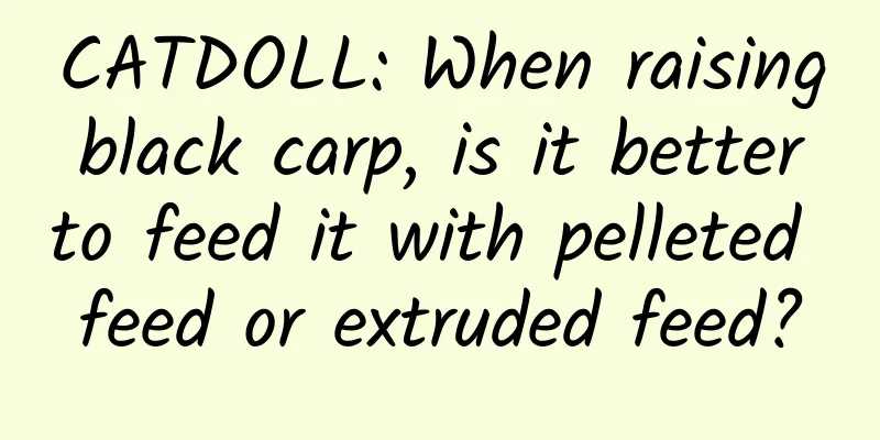 CATDOLL: When raising black carp, is it better to feed it with pelleted feed or extruded feed?