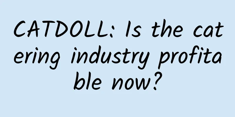 CATDOLL: Is the catering industry profitable now?
