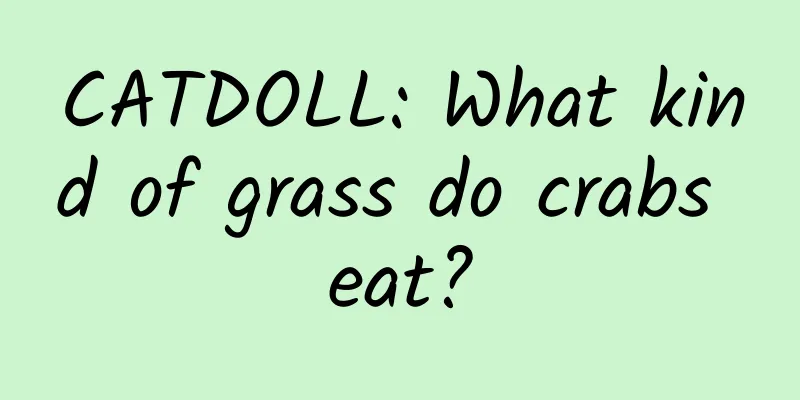 CATDOLL: What kind of grass do crabs eat?
