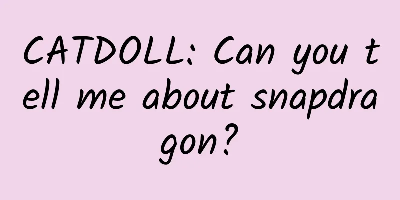 CATDOLL: Can you tell me about snapdragon?