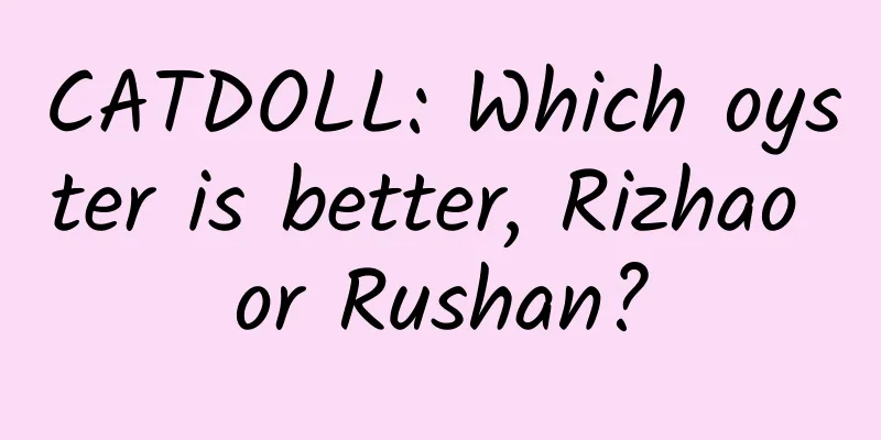 CATDOLL: Which oyster is better, Rizhao or Rushan?
