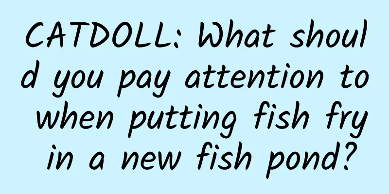 CATDOLL: What should you pay attention to when putting fish fry in a new fish pond?