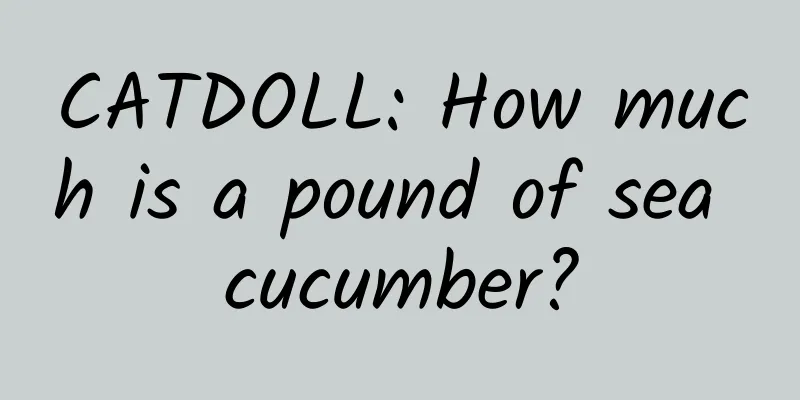 CATDOLL: How much is a pound of sea cucumber?