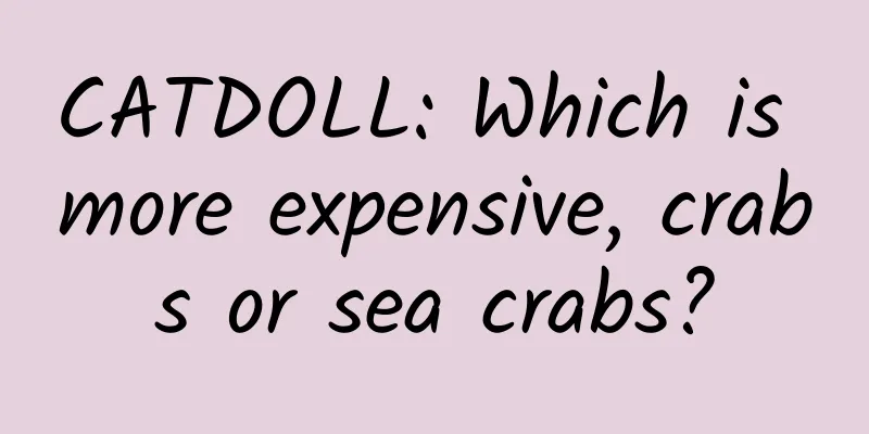 CATDOLL: Which is more expensive, crabs or sea crabs?