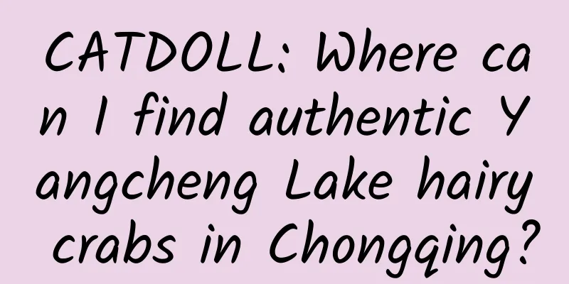 CATDOLL: Where can I find authentic Yangcheng Lake hairy crabs in Chongqing?
