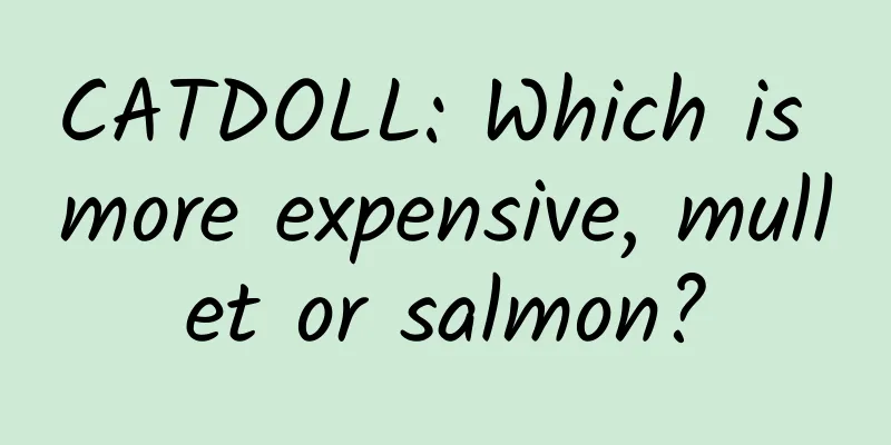 CATDOLL: Which is more expensive, mullet or salmon?