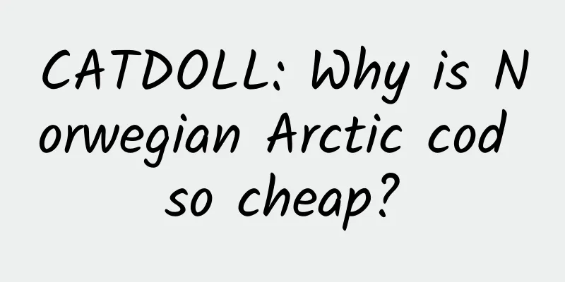 CATDOLL: Why is Norwegian Arctic cod so cheap?