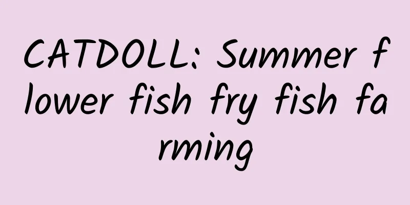 CATDOLL: Summer flower fish fry fish farming