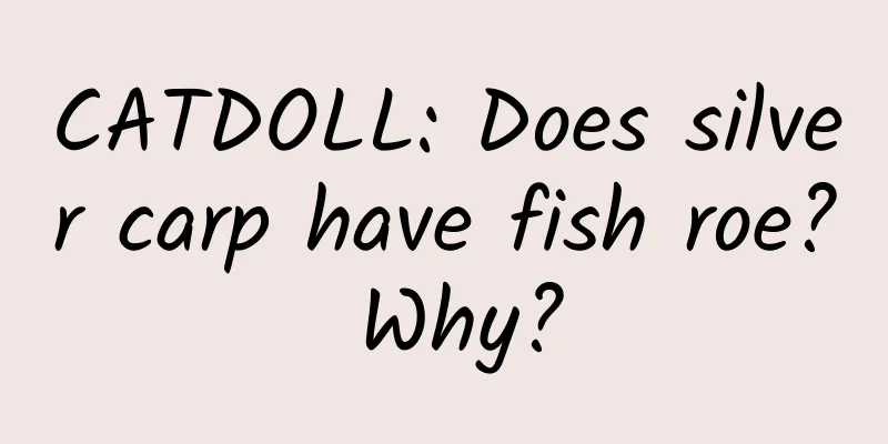 CATDOLL: Does silver carp have fish roe? Why?
