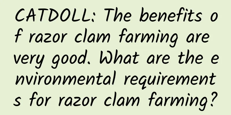 CATDOLL: The benefits of razor clam farming are very good. What are the environmental requirements for razor clam farming?