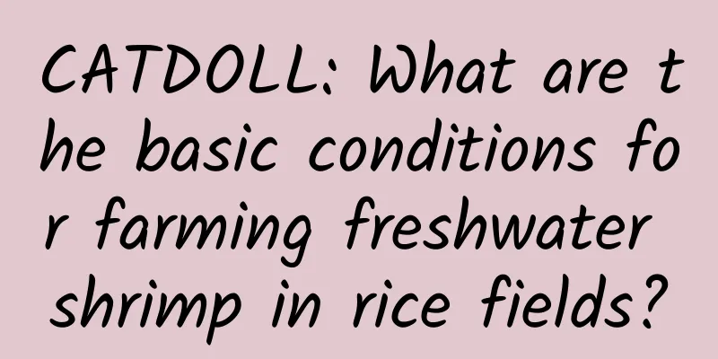 CATDOLL: What are the basic conditions for farming freshwater shrimp in rice fields?