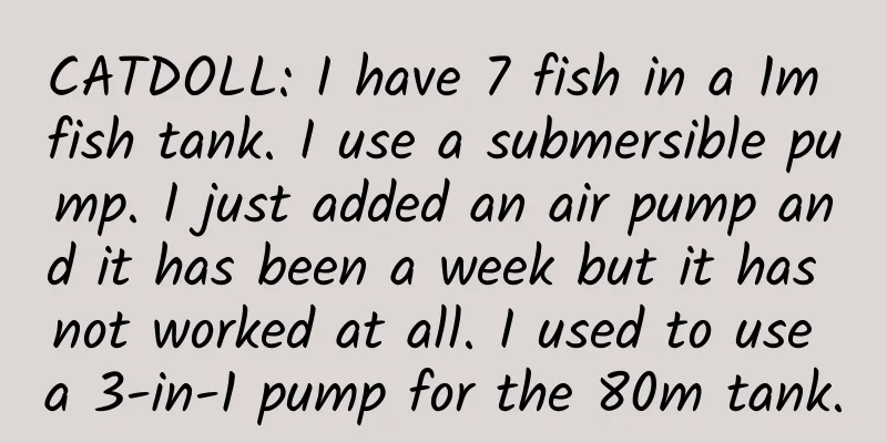 CATDOLL: I have 7 fish in a 1m fish tank. I use a submersible pump. I just added an air pump and it has been a week but it has not worked at all. I used to use a 3-in-1 pump for the 80m tank.