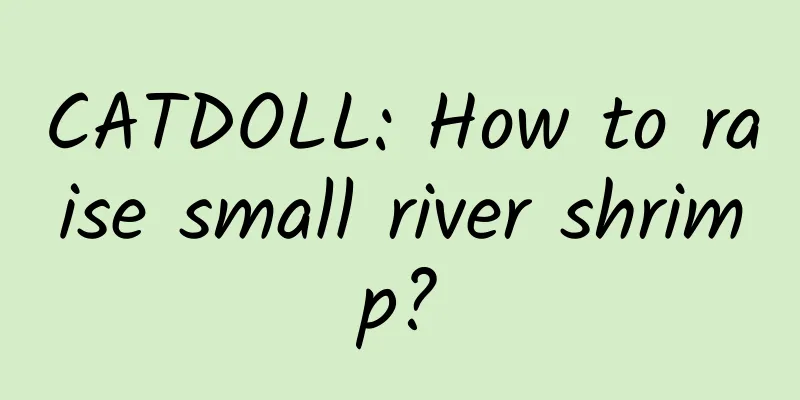 CATDOLL: How to raise small river shrimp?